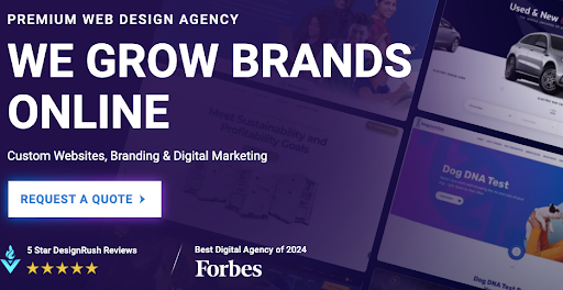 Digital Silk premium web design agency promo highlighting branding and digital marketing services