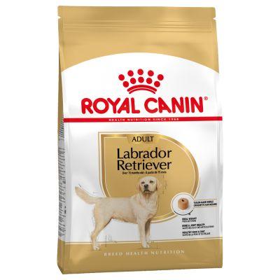 royal canin adult labrador