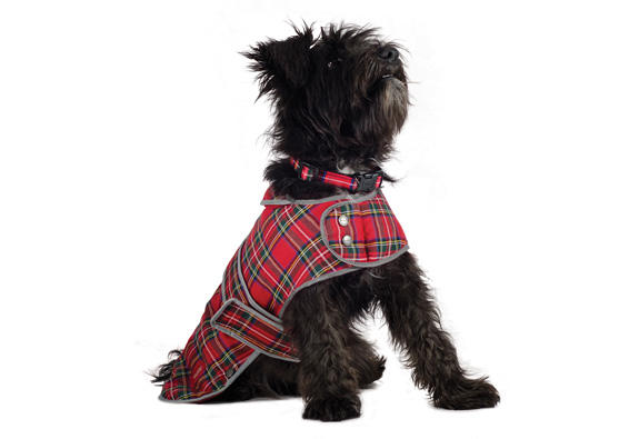 Ancol Tartan Red dog coat