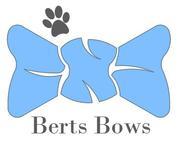 Berts Bows