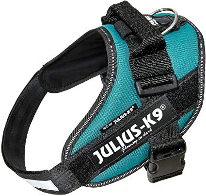 Petrol Green Baby Julius Harness