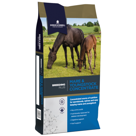 Dodson & Horrell Mare & Youngstock Concentrate