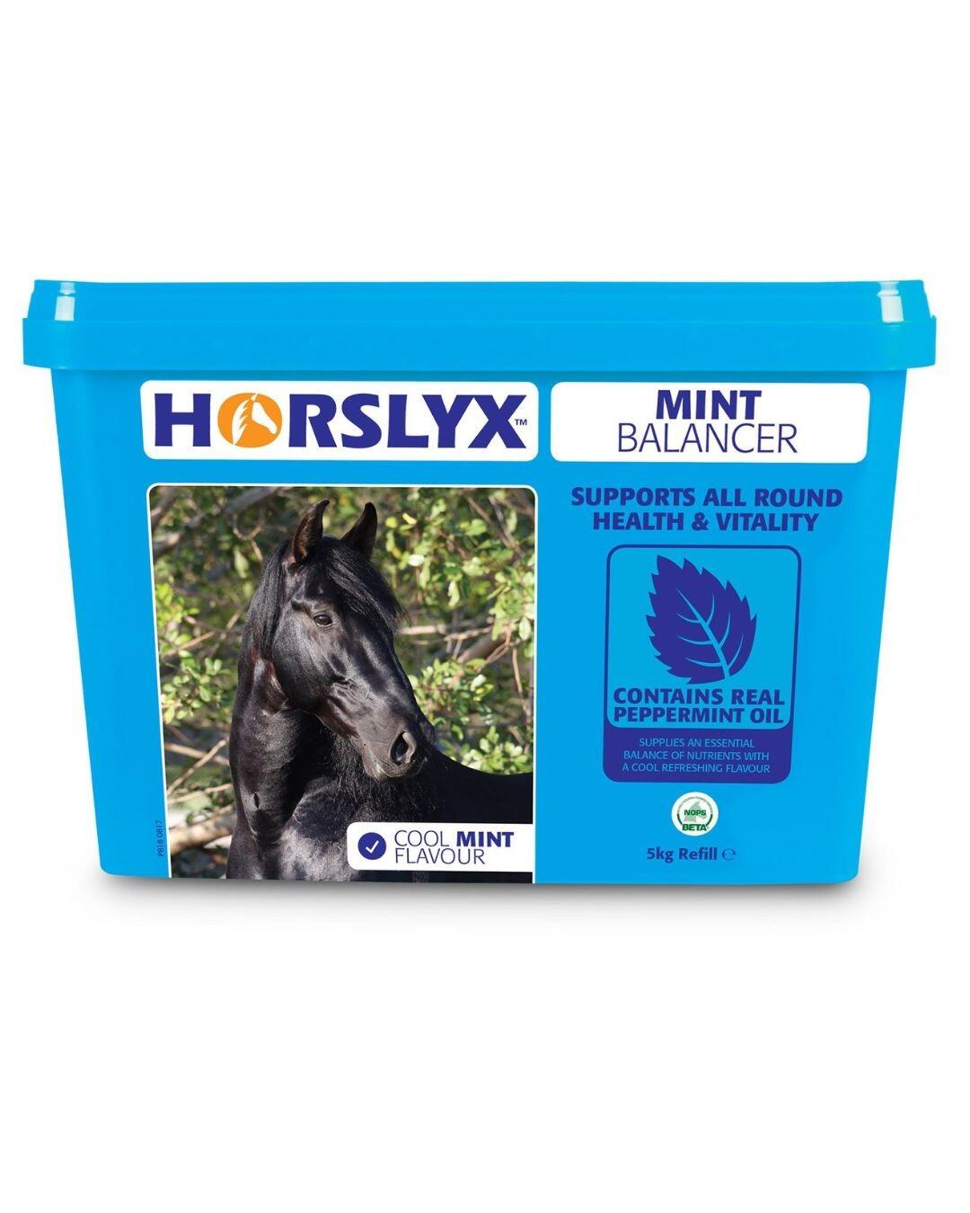 Horslyx Mint Stable Lick  Refill 5kg