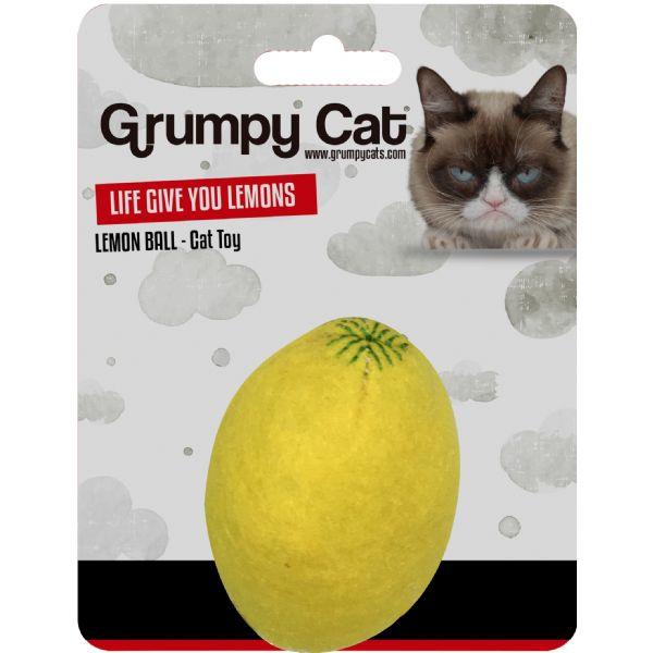 Grumpy shop cat toys