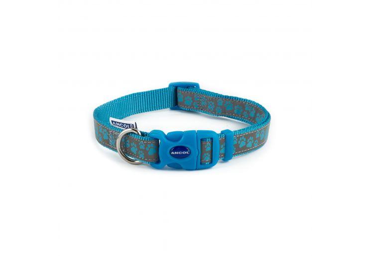 Ancol indulgence hot sale dog collar