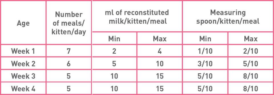 babycat-feeding-guide.jpg