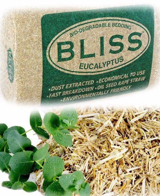 Bliss Eucalyptus