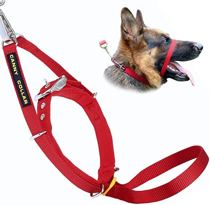 Canny Collar Size 6 Red