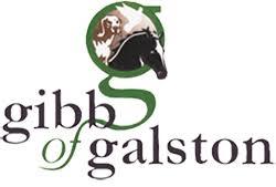 Gibb of Galston