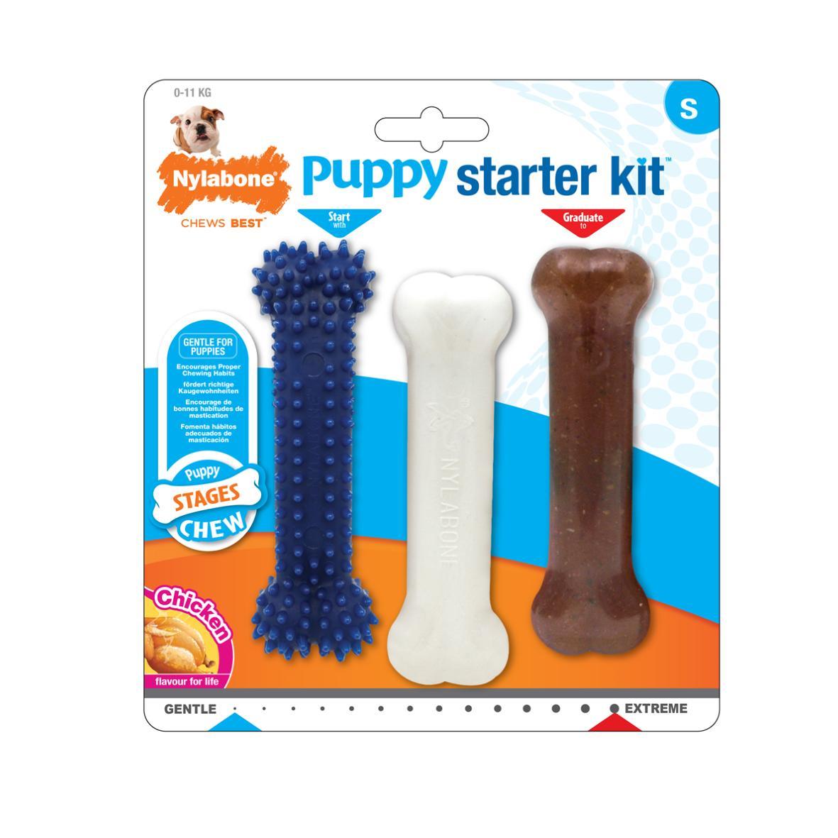 Nylabone Starter Puppy set
