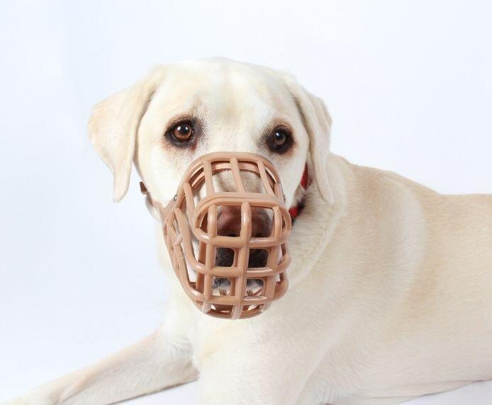 Baskerville Anti Scavenge Muzzle