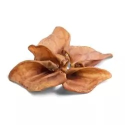 Paddock Farm Pigs Ears - Box of 50 (Medium)