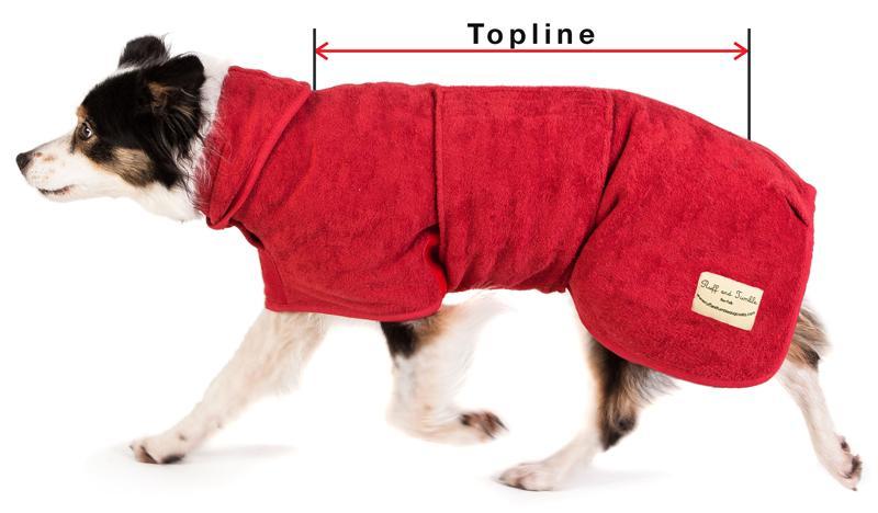 sizing-collie-1024x1024.jpg