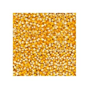 Pigeon - French Maize 20kg
