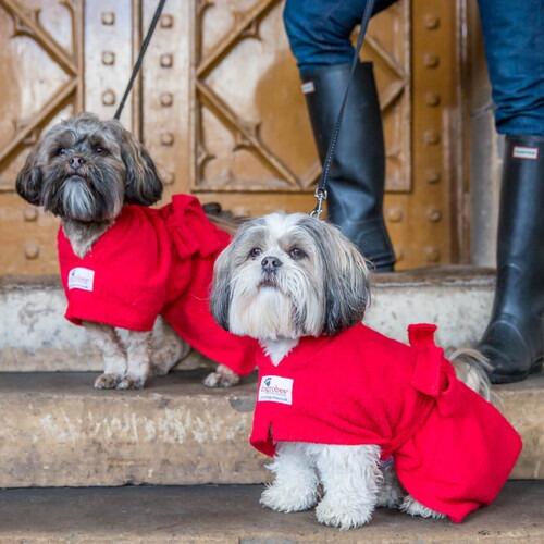 Red Dogrobes Drying Coat for Dogs