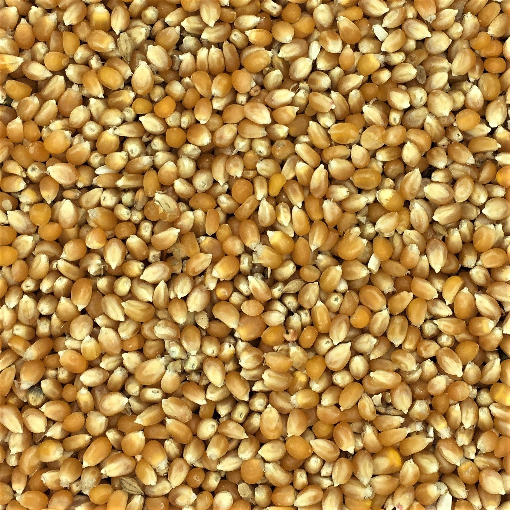 Corn popcorn sales