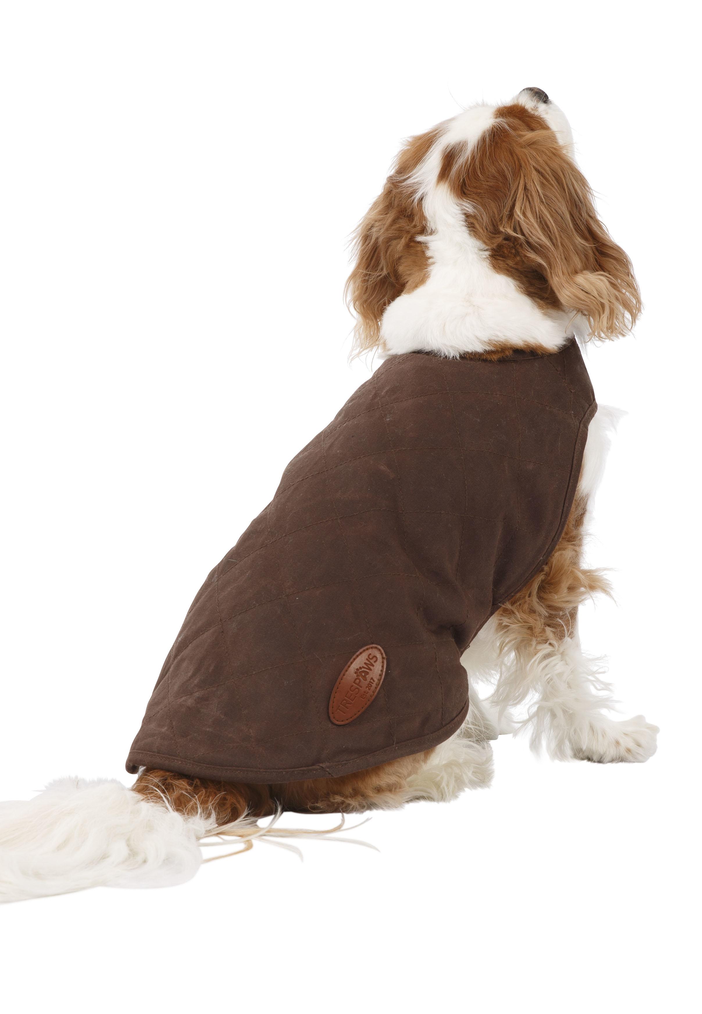 Trespaws dog new arrivals coat