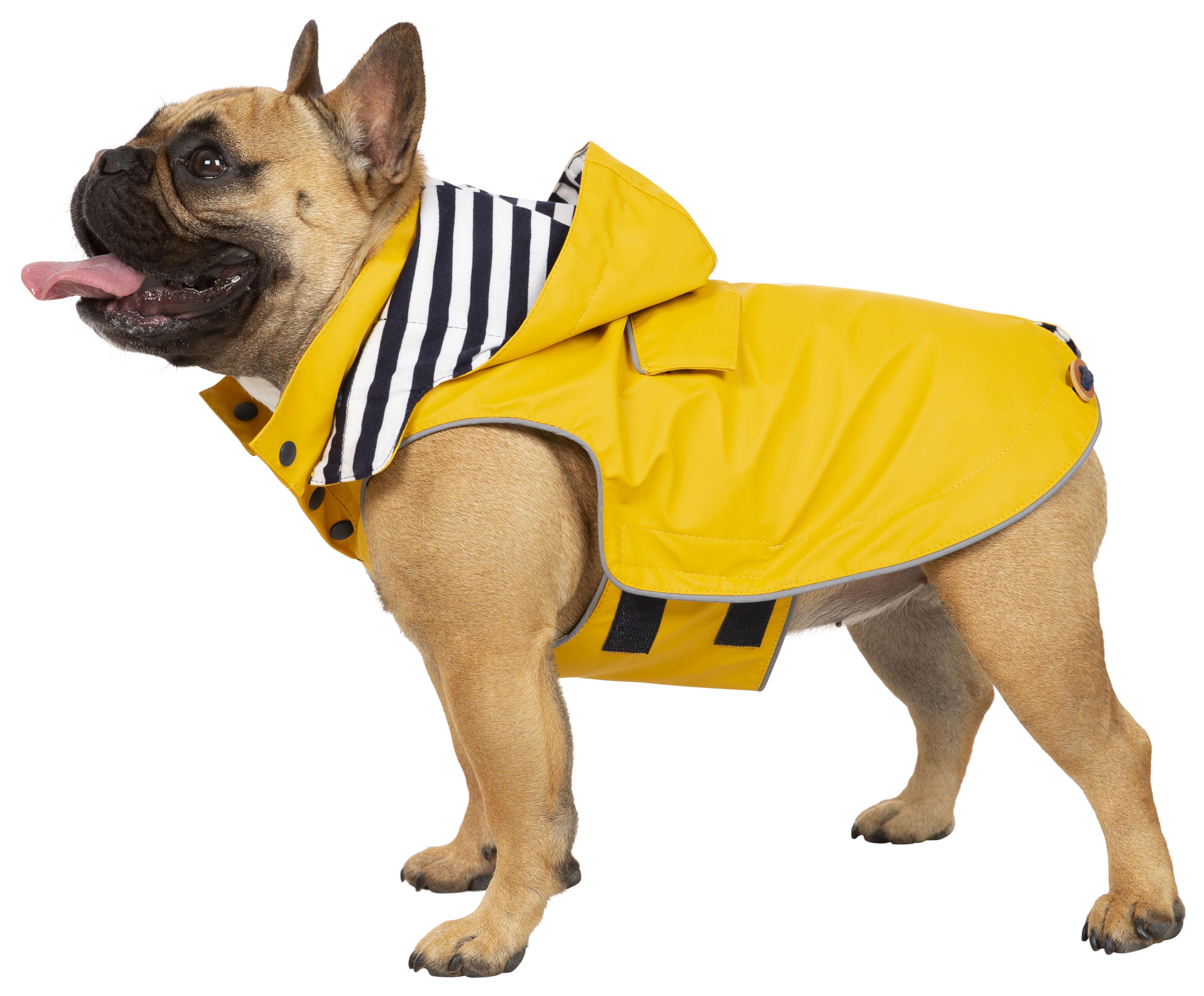 Dog store raincoat uk