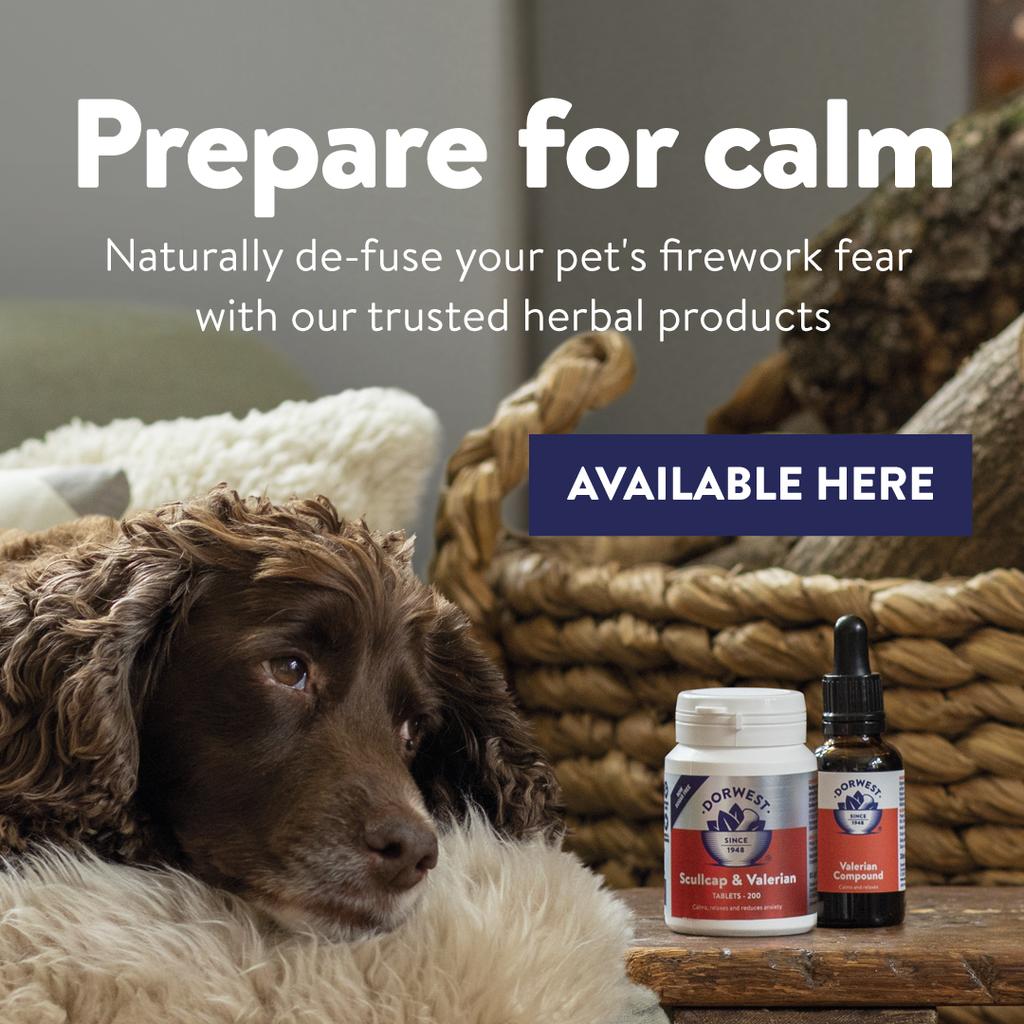 Prepare for Calm this Fireworks Season with Dorwest.