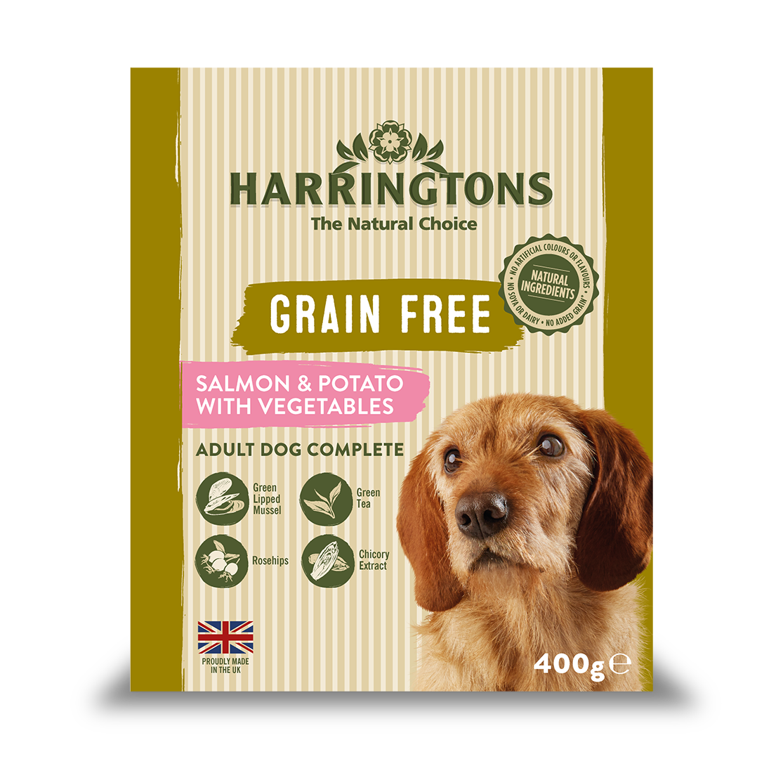 Harringtons Wet Salmon & Potato Dog Food Trays 400g