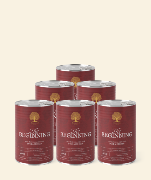 Essential Living - The Beginning  Pate 6 x 400g