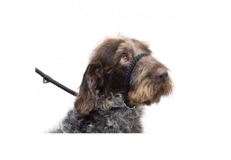 Ancol Rope Slip & Control Lead Black