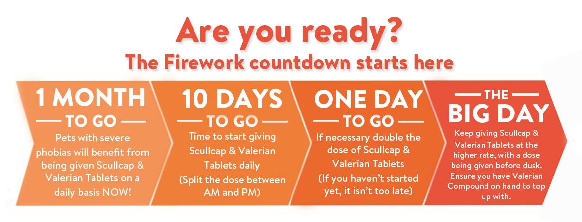 fireworks-countdown.jpg