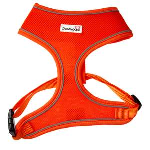doodlebone Orange Airmesh Harness