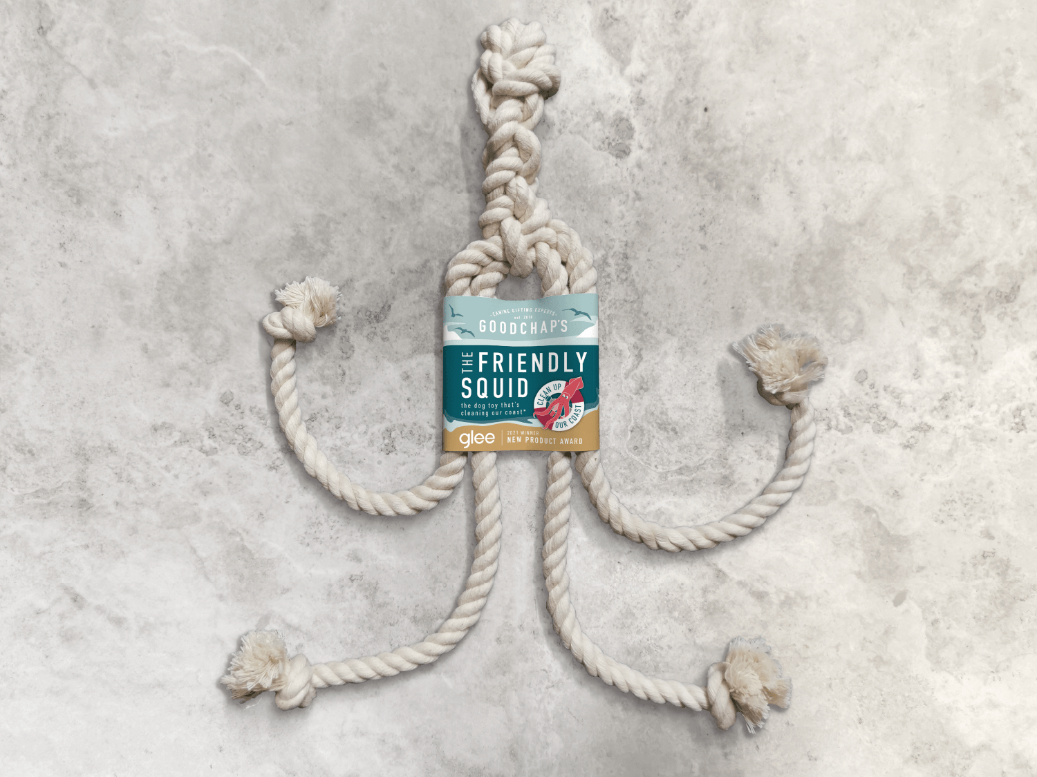 The Friendly Squid