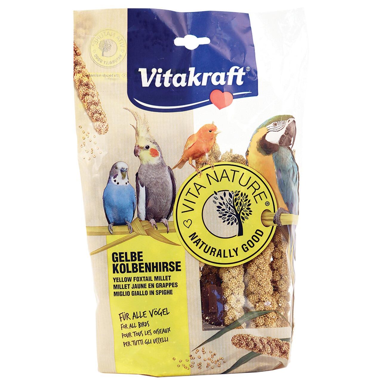 Yellowtail Millet