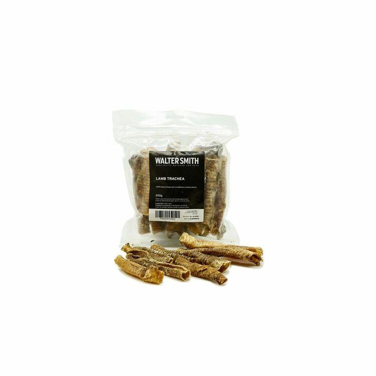 Walter Smith Lamb Trachea