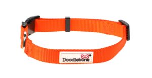 Doodlebone Originals Collar Tangerine