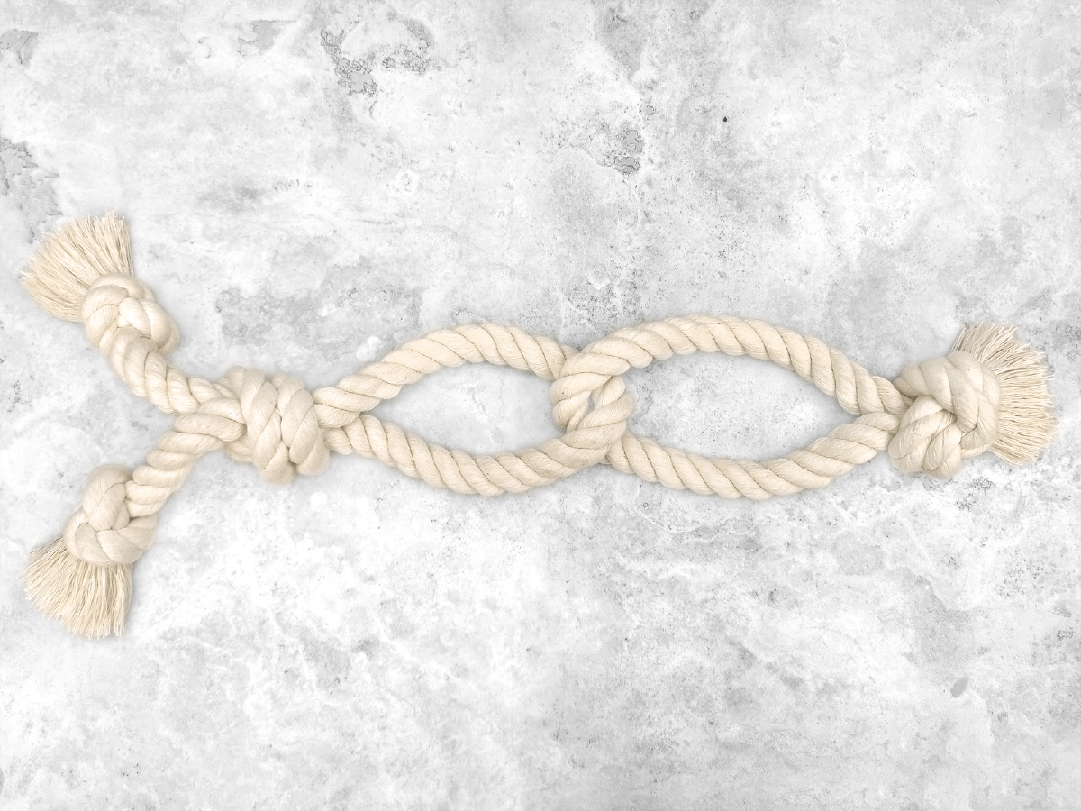 Double Pulley2