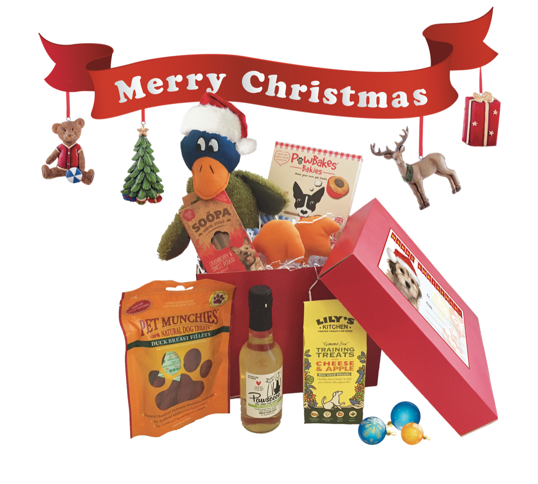 Postie Christmas Celebration Boxes for Dogs