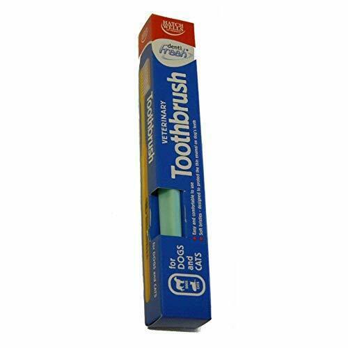 dentifresh toobrush