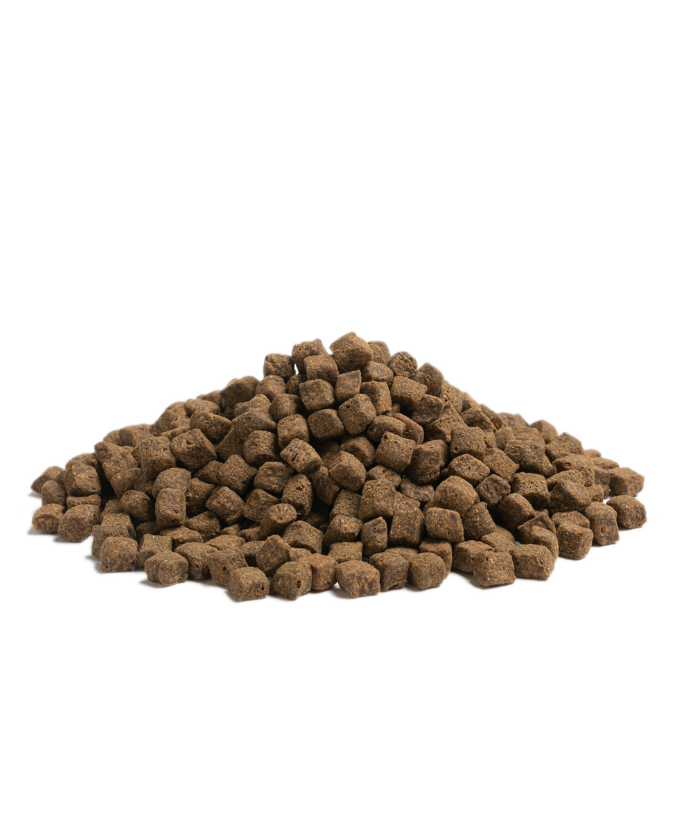 Essential older 3kg kibble