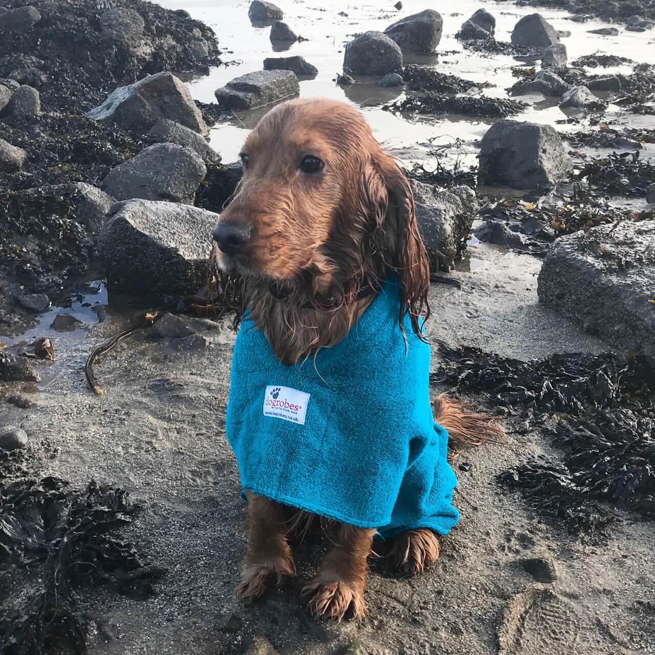 Teal Dogrobes Drying Coat for Dogs