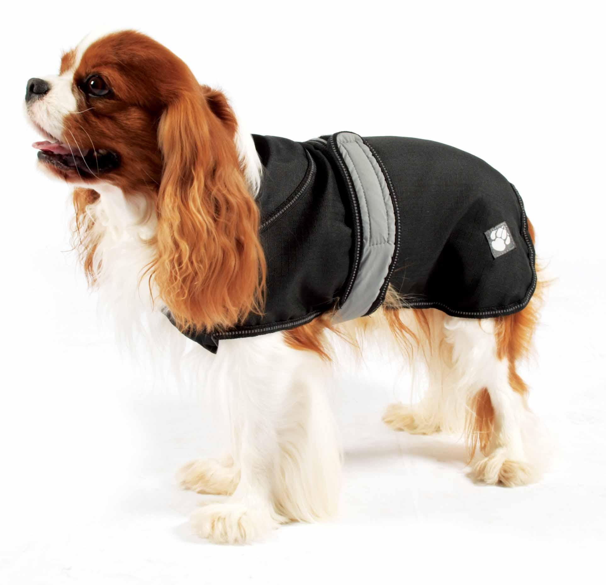 Black 2 in 1 coat with dog