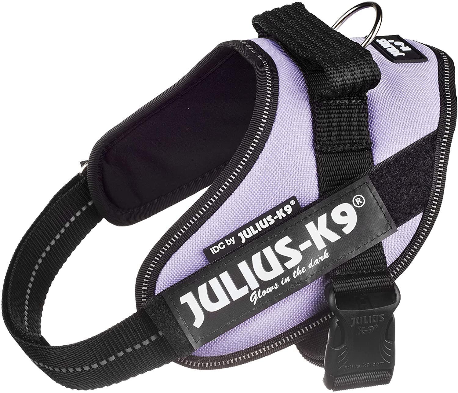 Julius K9 IDC Power Harness size Mini