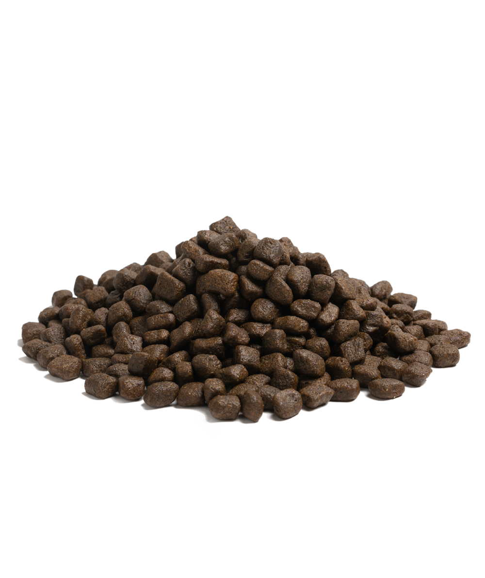 Nautical living small size kibble