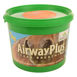 Global Herbs Airway Plus Powder 1kg