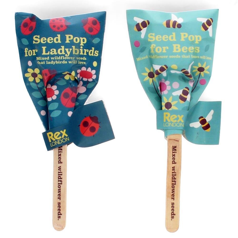 Seed Pops at Albert & Moo