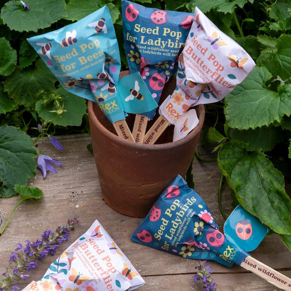 Seed Pops at Albert & Moo