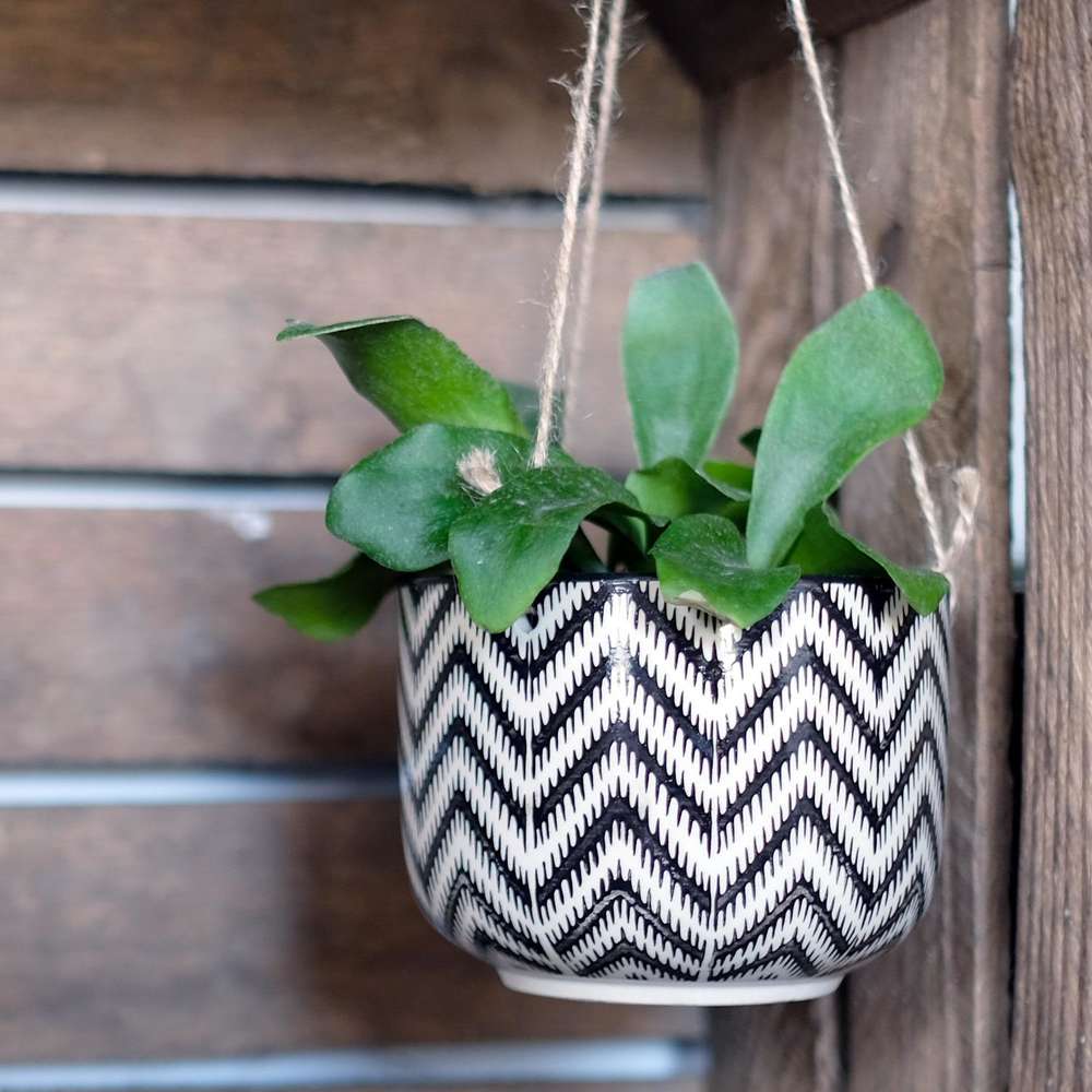 Ripple Hanging Plant Pot Albert & Moo