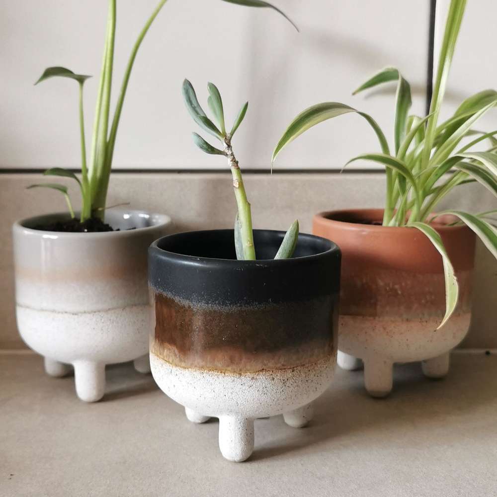 Indoor Plant Pots & Planters Albert & Moo