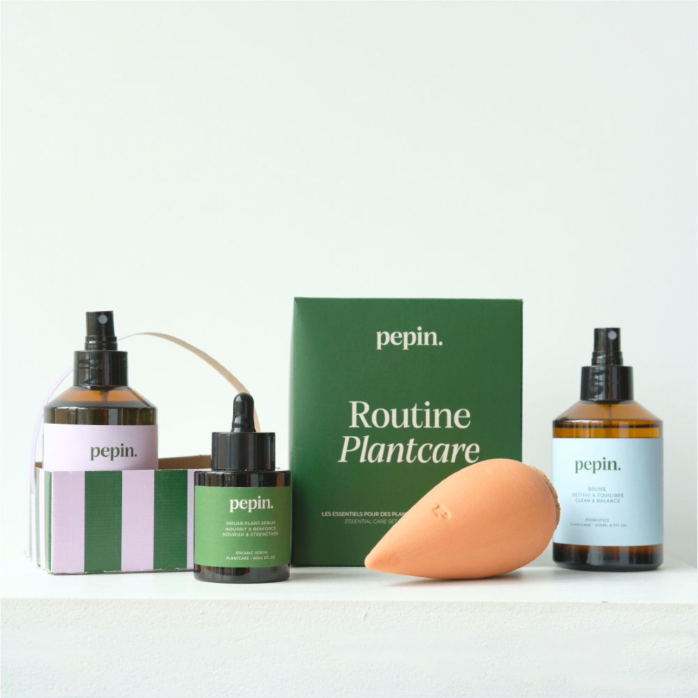 Plantcare Routine Gift Box by Pepin at Albert & Moo