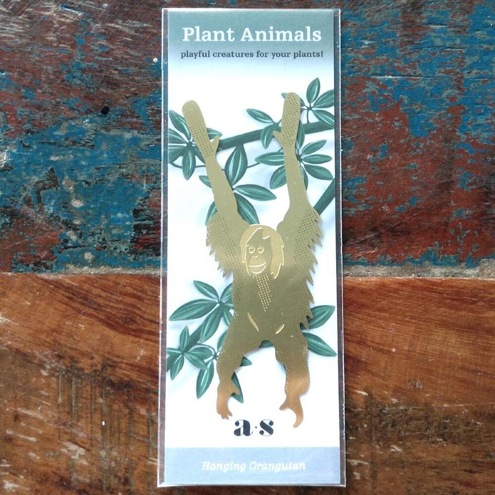 Plant Animals by Another Studio at Albert & Moo