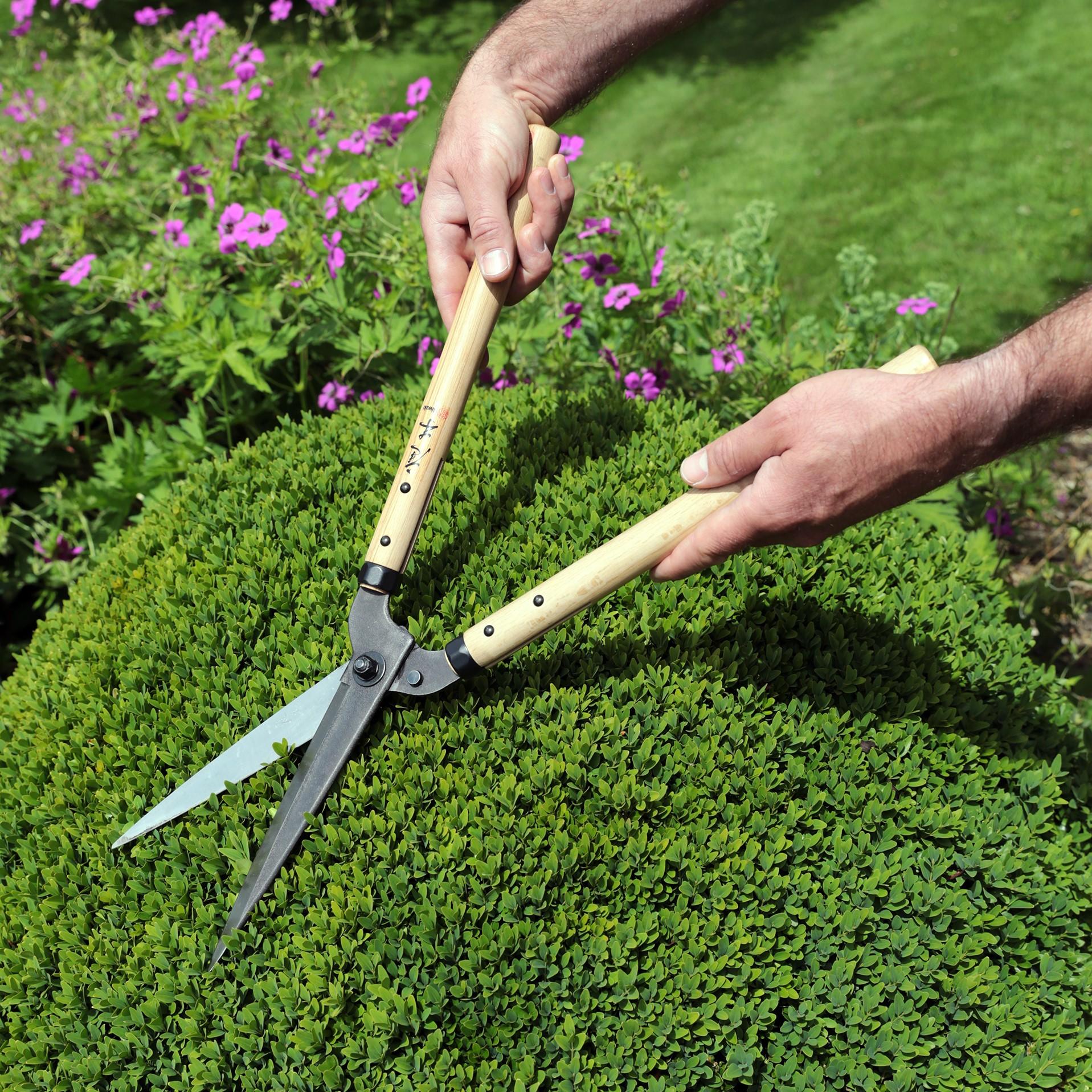 Niwaki topiary outlet shears