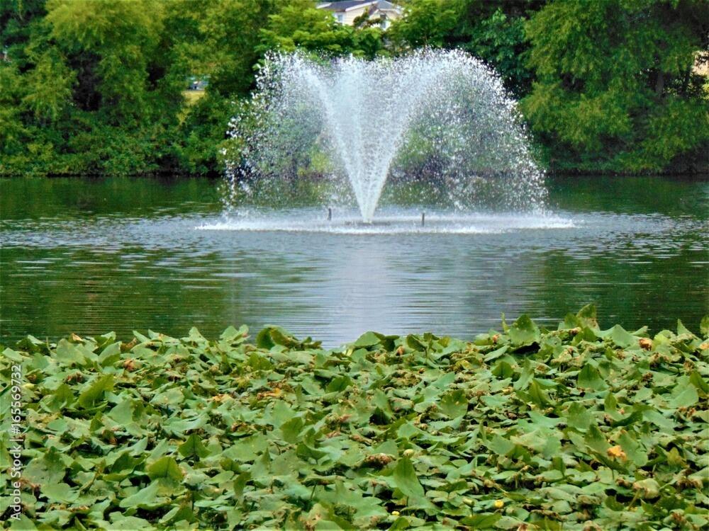 Pond accessories