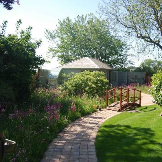 Shaded garden footpath with shade tolerant turf
